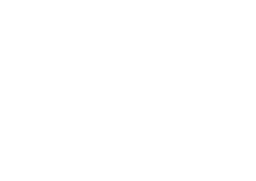 Simba Agency